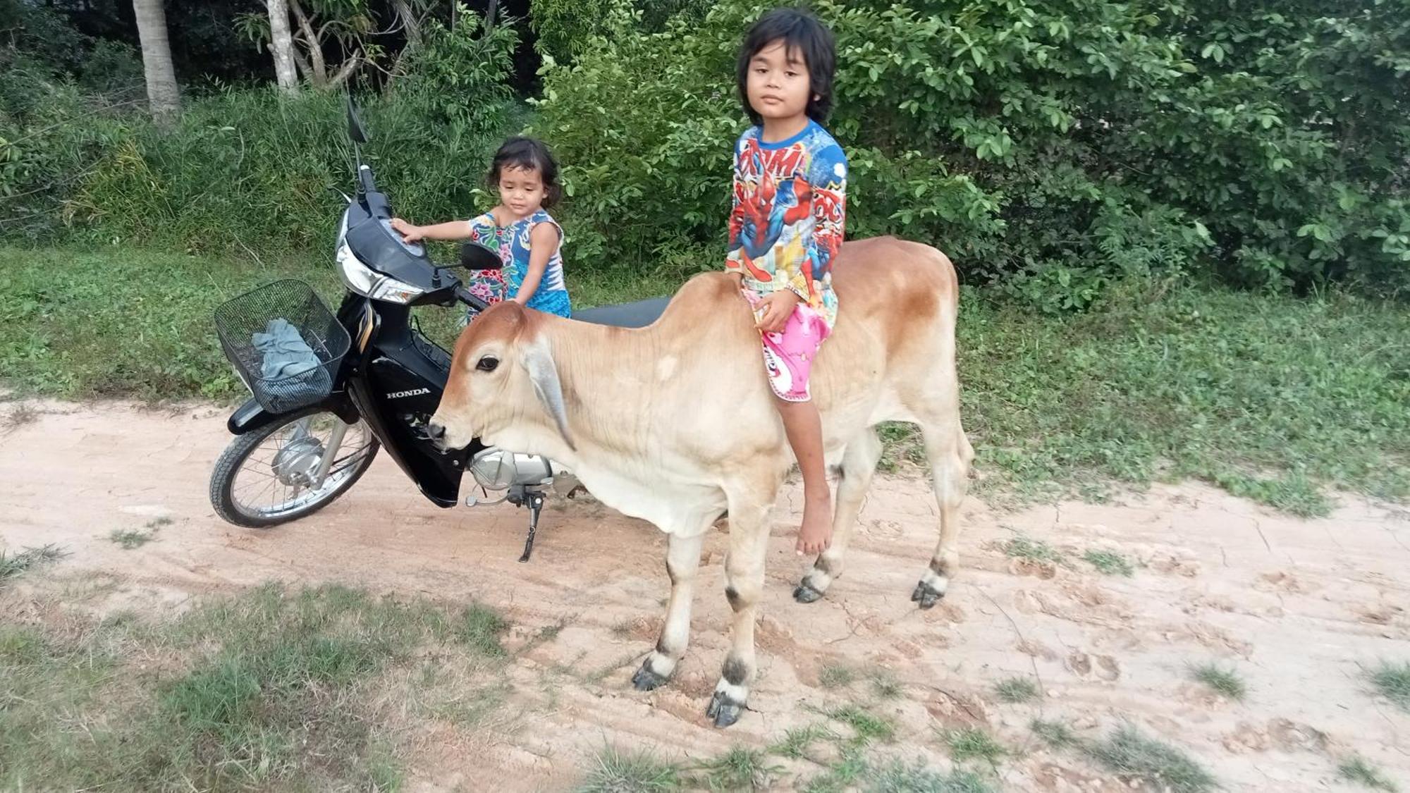 Kakrona Pouk Homestay Siem Reap Buitenkant foto